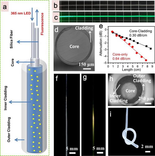 華南理工大學(xué)張勤遠(yuǎn)團(tuán)隊(duì)開(kāi)發(fā)Mn2+摻雜雙波長(zhǎng)發(fā)射材料，推動(dòng)可穿戴光纖溫度傳感器與成像應(yīng)用